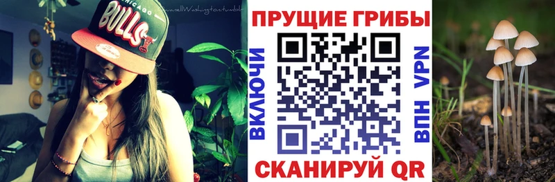 Псилоцибиновые грибы Magic Shrooms  Лесной 